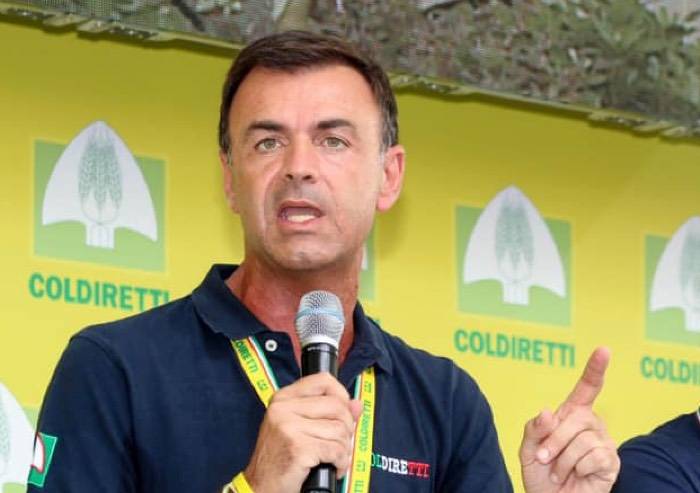 Verona è la culla dell’agricoltura bio nel Veneto, ma il sistema Italia dipende ancora dall’import. Prandini: «Adesso voglio i controlli»