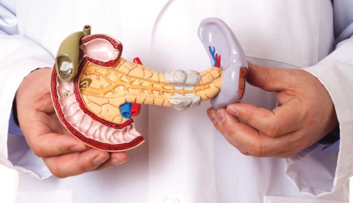 Cancro al pancreas, UniVerona nel pool di ricerca per una cura innovativa. Pubblicato uno studio su Science Translational Medicine