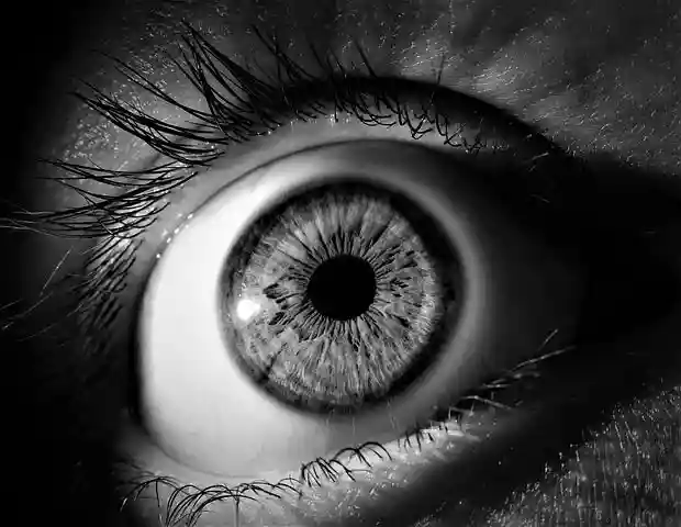 Fondamentale la prevenzione per la cura del glaucoma