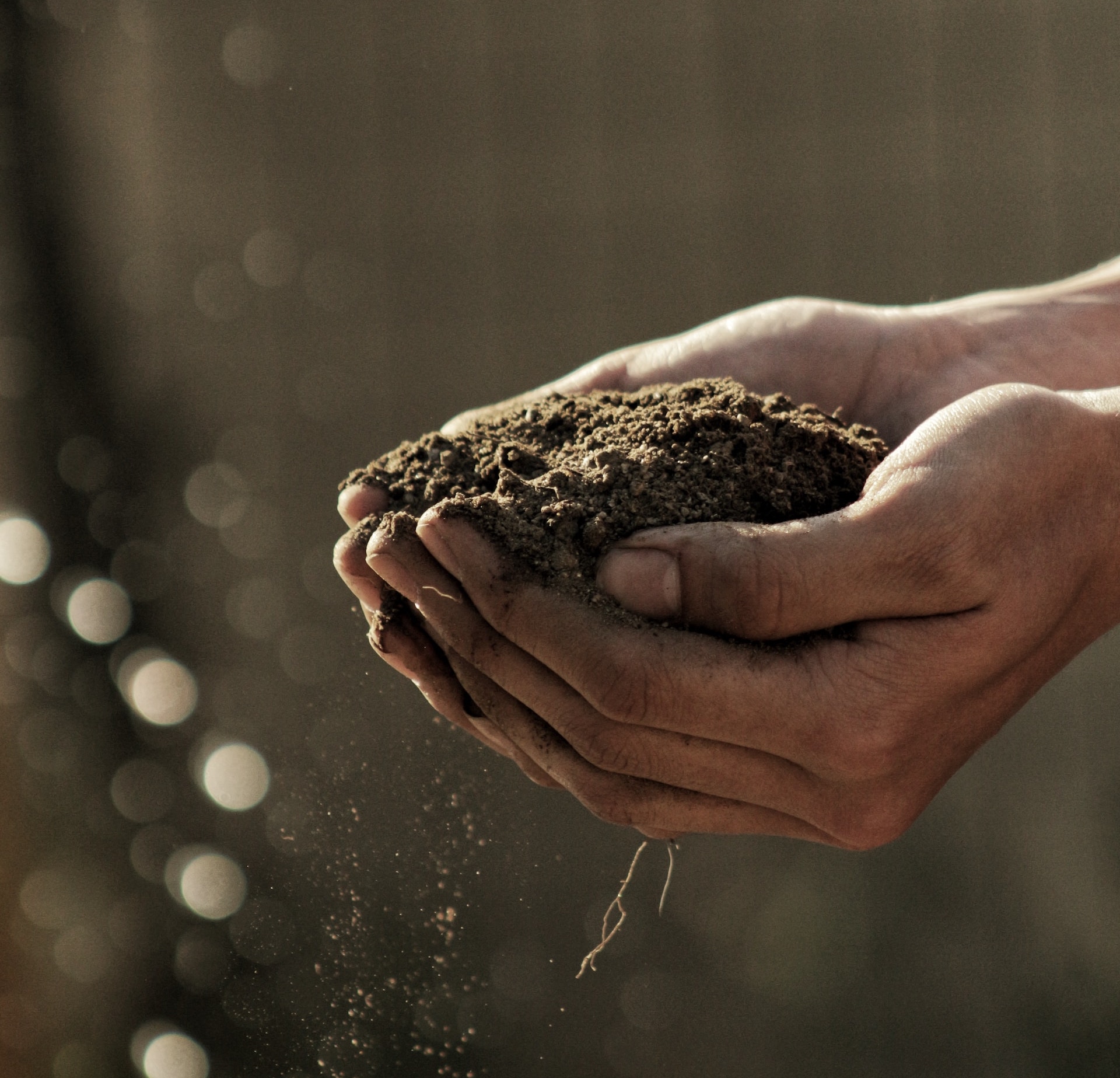 Verona è la capitale dell’agricoltura. Ma in Veneto non conta niente