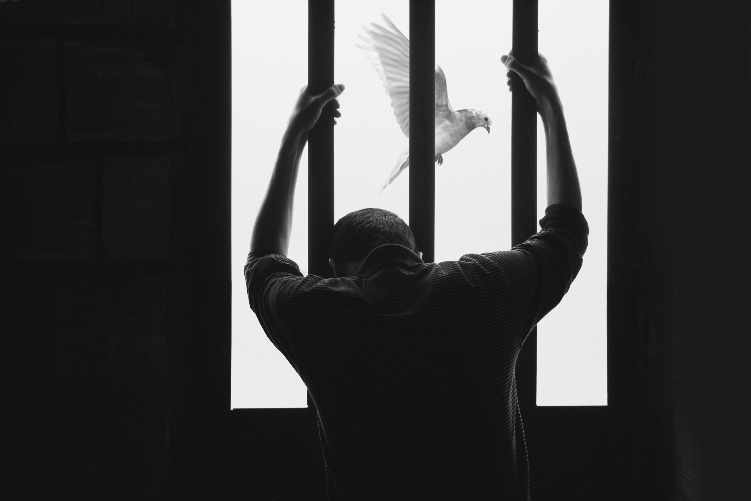 Carcere di Montorio. Da giovedì 8 sciopero della fame dei detenuti