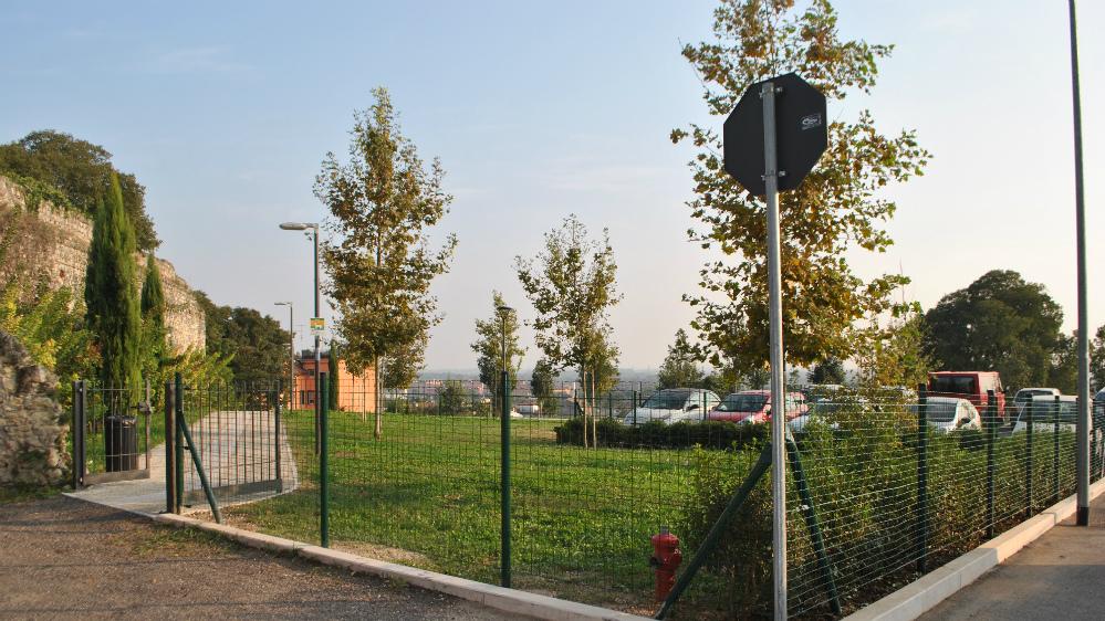 La situazione sicurezza a Veronetta. Sentiti in 1^ Commissione l’assessore e il Comandante della Polizia locale