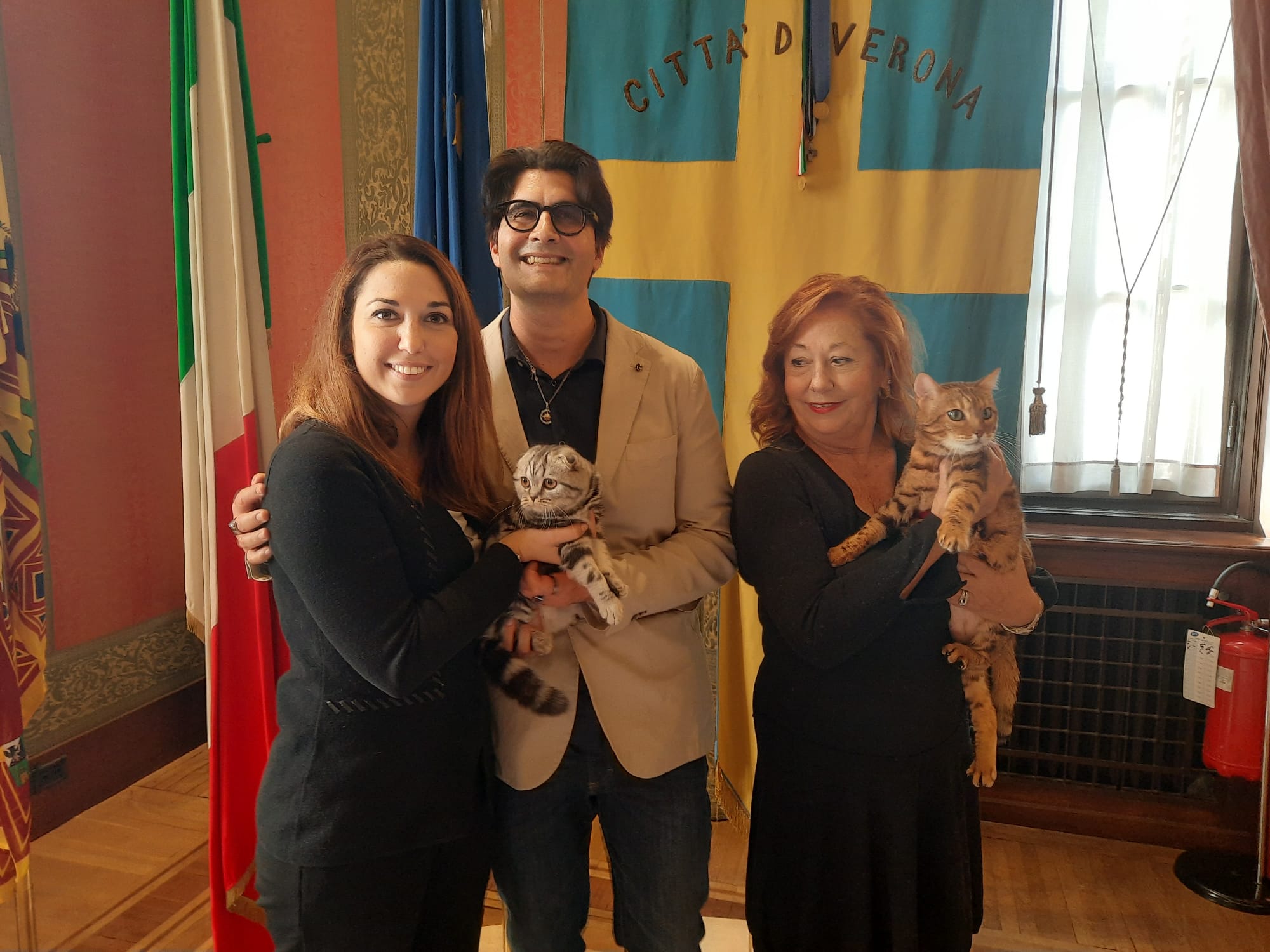 In Gran Guardia i gatti più belli del mondo. L’Esposizione Internazionale Felina torna dopo 2 anni
