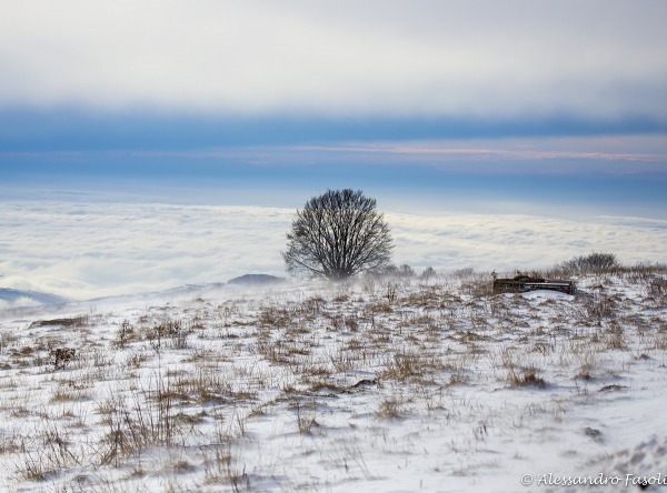 Neve in Lessinia, chiusa la Sp6 da Grietz di Bosco Chiesanuova a Parpari