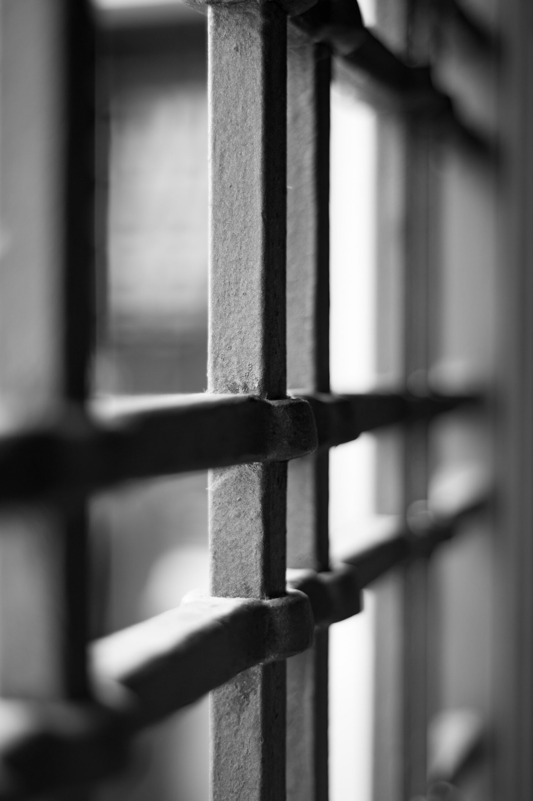 La gravidanza non dev’essere una licenza di rubare. Chi lo fa va punito. Pancia o non pancia