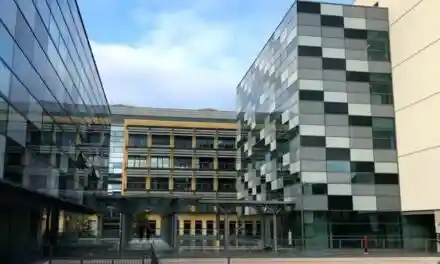 Caso Citrobacter. Tutti prosciolti