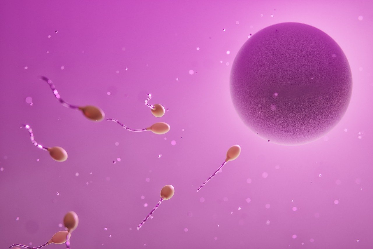 In 20 anni 217mila bambini nati grazie alla procreazione assistita