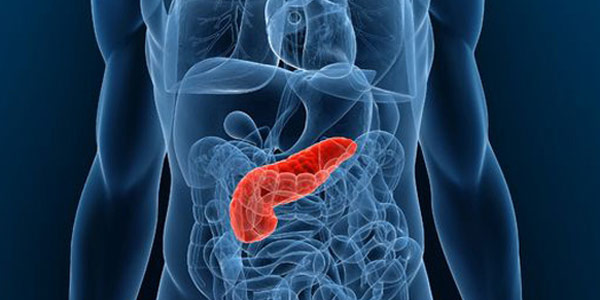 Verona capitale dell’oncologia digestiva