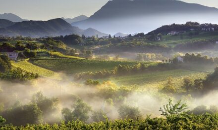 Export mondiali di vino, crollo a marzo dell’8,7% a livello globale. Il Prosecco salva l’Italia che cede appena lo 0,9%