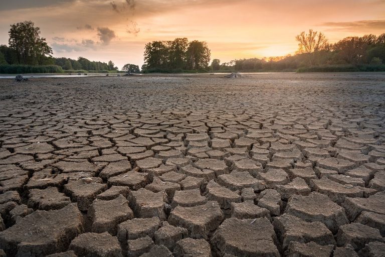 Giornata mondiale dell’acqua: ecco cosa si dovrebbe fare per ridurre la sete italiana