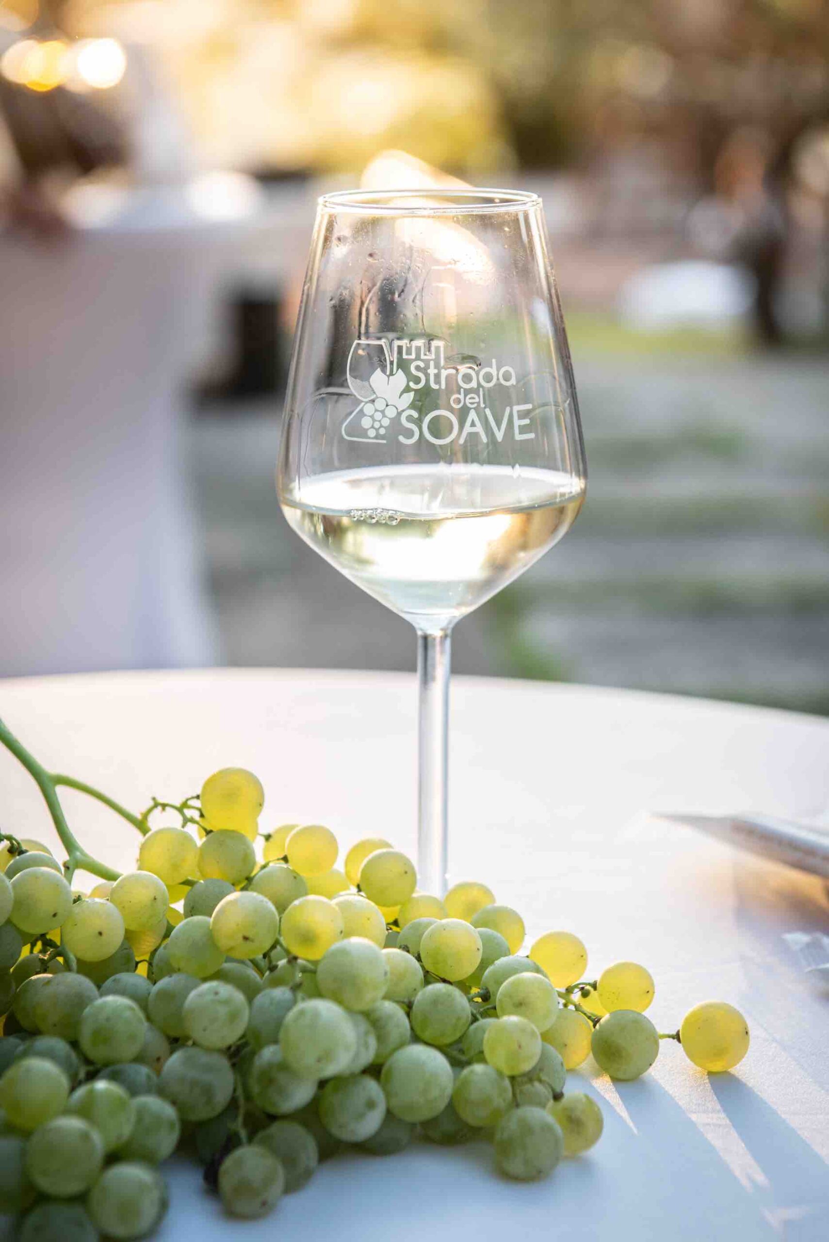 Soave Seven: In primo piano la longevità dei vini Soave DOC con annate dal 2016 al 2022 a confronto 2 soave seven scaled