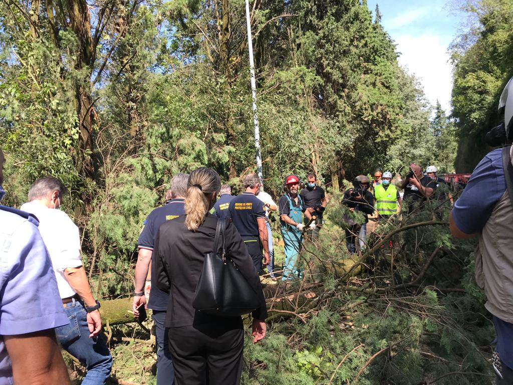 Zaia a Verona: Verona ferita si è rimboccata le maniche e sta ripartendo