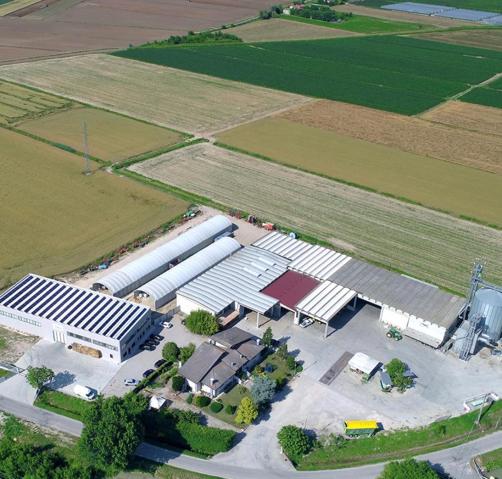 Nella Bassa una storia di impresa e di amore per la terra 1 stoppato azienda 1