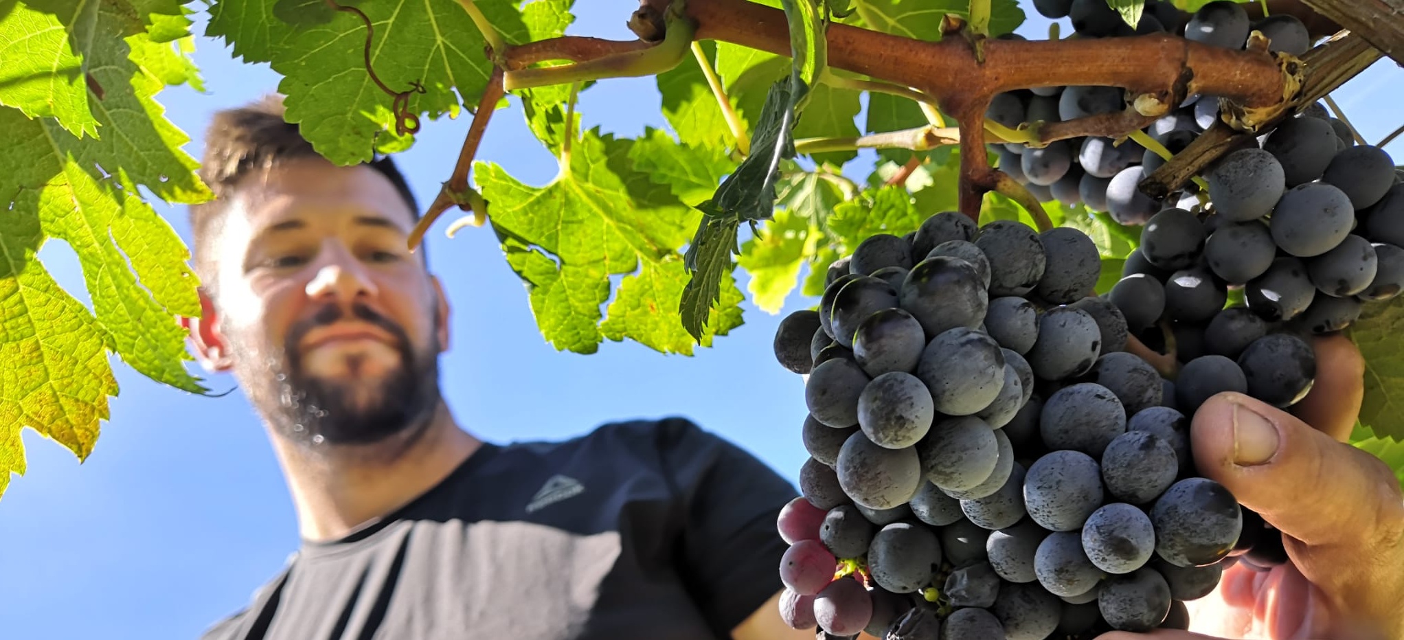 Thomas Conzato. Il vignaiolo esploratore che pratica l’agroecologia e sfida il suo territorio