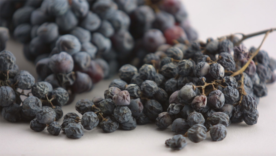 Amarone, torna la kermesse in Gran Guardia sul più pregiato dei rossi italiani: 64 le cantine presenti