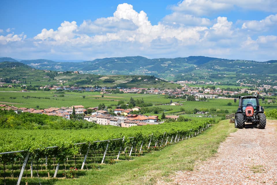 Valpolicella, gli investitori stranieri mantengono vivo il mercato immobiliare. Cresce l’offerta di vigneti e aziende vinicole