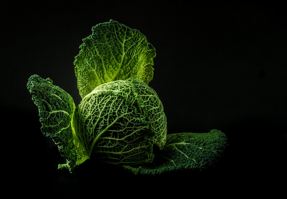 Cambia il modo di mangiare degli italiani. Sempre più “green”