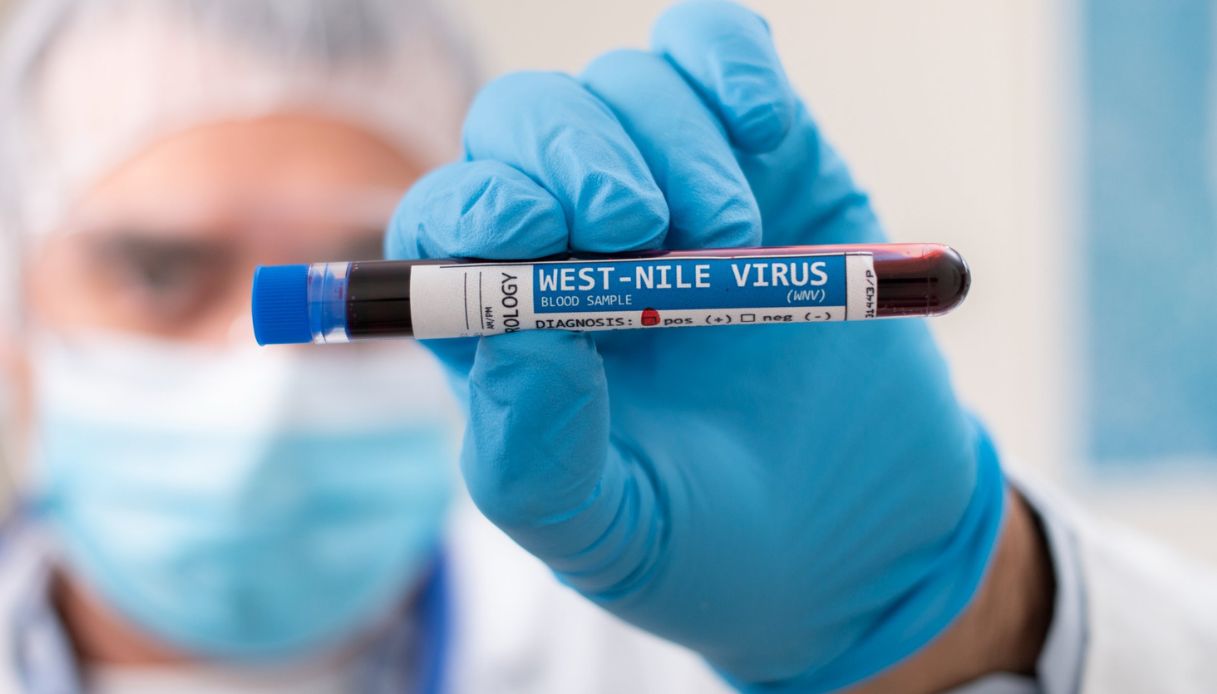 West Nile. 11 casi anche nella nostra provincia, ma la diffusione è minore che in altre