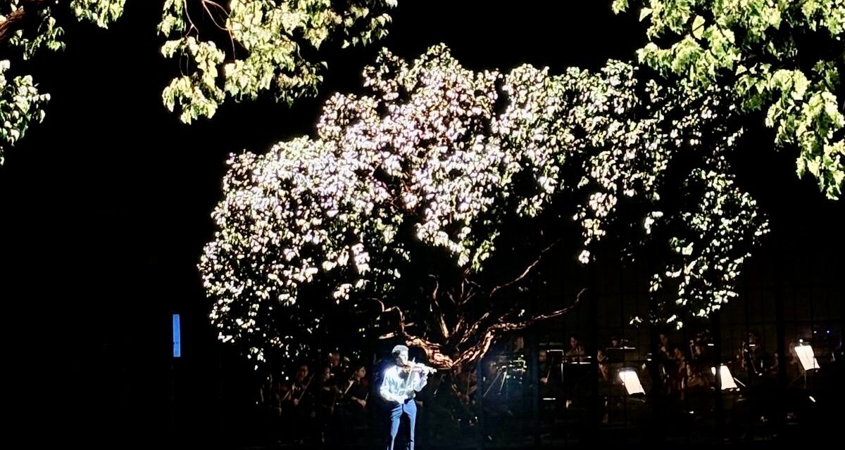 Le Quattro Stagioni di Vivaldi: Un trionfo immersivo di musica e visioni 3D in Arena