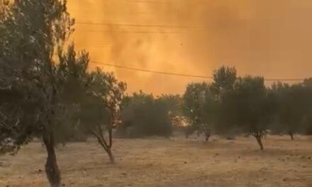 Veronesi in pericolo ad Atene per il fuoco che avanza verso la città