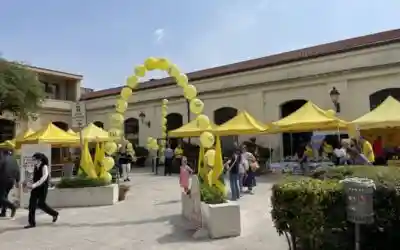 Nuovo mercato di Campagna Amica al Saval da lunedì 15 dicembre