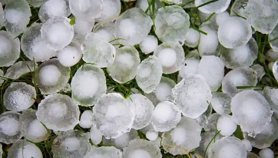 Assicurazioni agricole. Nel 2025 danni oltre i 29 milioni