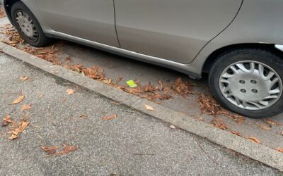 Auto ferme in strada da mesi. Sosta o occupazione di suolo pubblico?