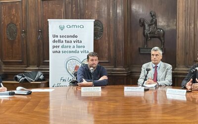 AMIA in house, Palazzo Barbieri chiude la partita