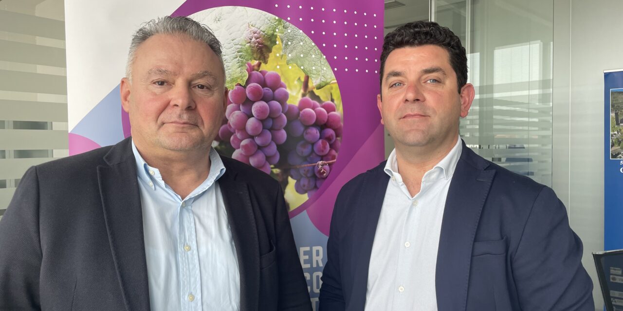 CODIVE. Assicurazioni in agricoltura nel 2024 a -24,8%, tra le causel’incertezza dei contributi pubblici