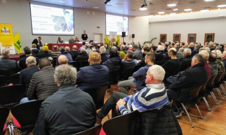 Kiwi, la tecnologia contro la moria che ha causato 1,3 miliardi di danni: convegno a Bussolengo