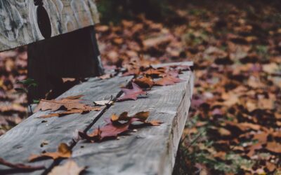 Raâga Blanda. Una recensione che vuol esser anche uno studio assai breve ai poemi di Julius Evola.