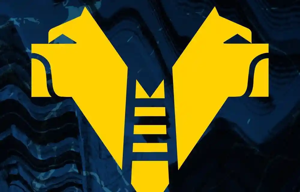 Hellas sconfitto 3-1 a Como. Gioca bene ma…