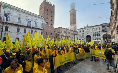 Coldiretti, agricoltura in crisi: ritardi nei contributi alle polizze mettono a rischio il settore