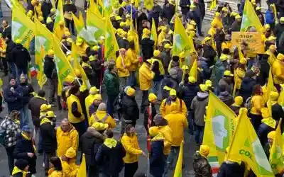 Agricat: Coldiretti, lo sblocco degli indennizzi risponde alle mobilitazioni sotto le Prefetture