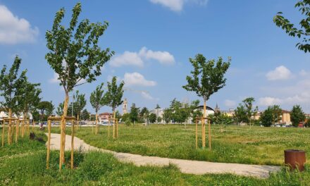 A Bussolengo nuove opere di piantumazione per un comune sempre più verde
