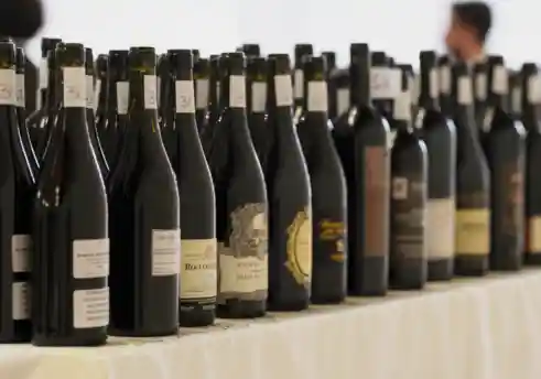 Effetto Unesco nelle colline del Prosecco Superiore 2 63bd91aff00bf Amarone Opera Prima 1 default 491 344