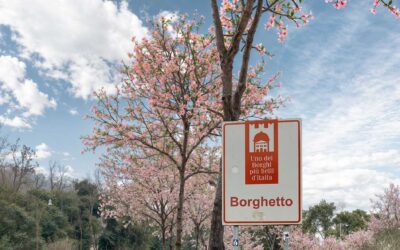 Valeggio, a Borghetto nasce il Viale dei Ciliegi