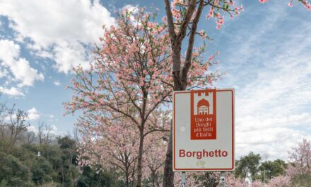 Valeggio, a Borghetto nasce il Viale dei Ciliegi