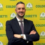 Crisi del prezzo del latte, Lollobrigida convoca il Tavolo nazionale. Vantini: «Situazione grave per le stalle veronesi»