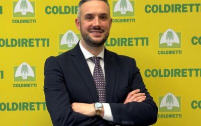 Frutteto Verona, in dieci anni perso il 60% del terreno coltivato a pesche e il 7% di quello a fragole