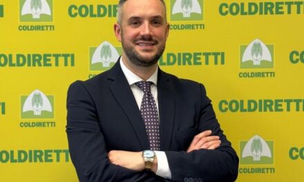 Frutteto Verona, in dieci anni perso il 60% del terreno coltivato a pesche e il 7% di quello a fragole