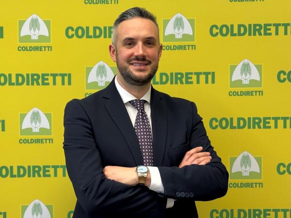 Frutteto Verona, in dieci anni perso il 60% del terreno coltivato a pesche e il 7% di quello a fragole