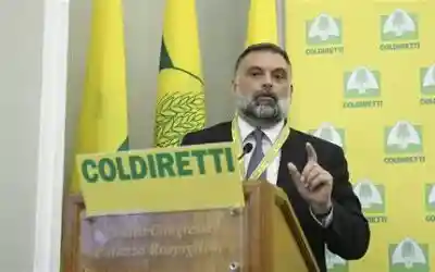 Partito dimezzato. Coordinatore regionale in bilico