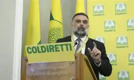 Partito dimezzato. Coordinatore regionale in bilico