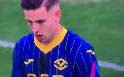 Il Verona batte la Fiorentina 1-0 trascinata da Suslov