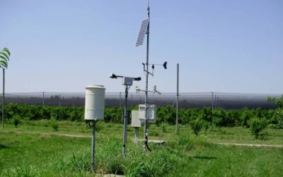 Allergie, Arpav monitora i pollini: ecco la situazione a Verona. un milione i veneti interessati