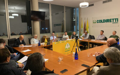 Consulta Ortofrutta, nel mirino il crollo della produzione veronese, green deal e Mercosur