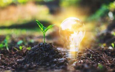 Ecolamp, a Verona raccolte 22 tonnellate di lampadine esauste nel 2024