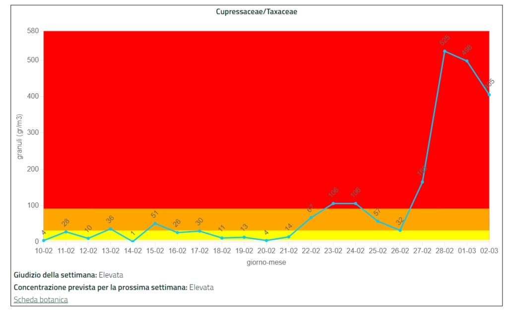 Allergie, Arpav monitora i pollini: ecco la situazione a Verona. un milione i veneti interessati 1 allergie1
