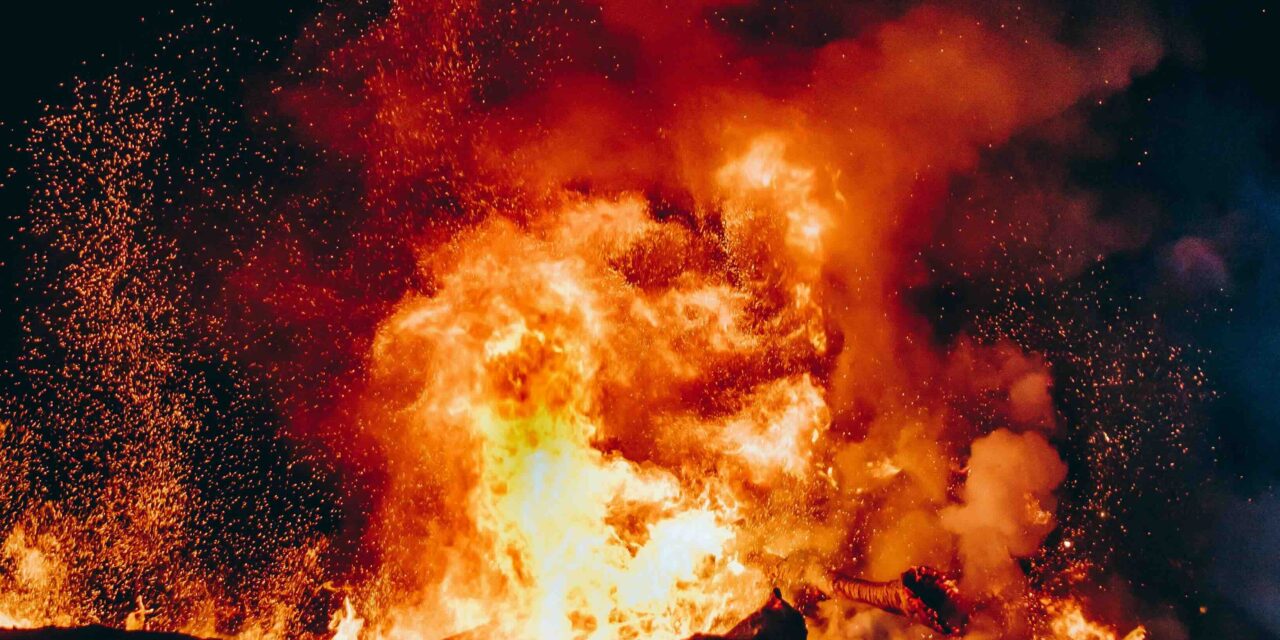 Incendio all’ex zoo. Bertaia. Vi avevo avvisato